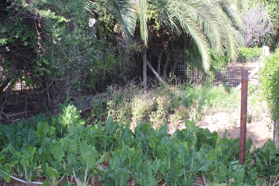 3 Bedroom Property for Sale in Graaff-Reinet Eastern Cape
